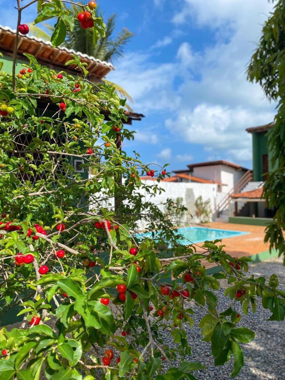 Nirvana Pipa Guest house Praia de Pipa