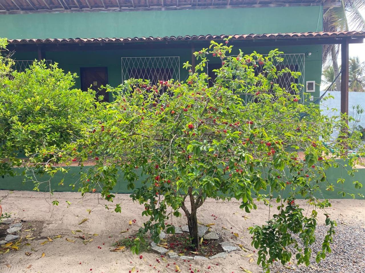 Guest house Nirvana Pipa